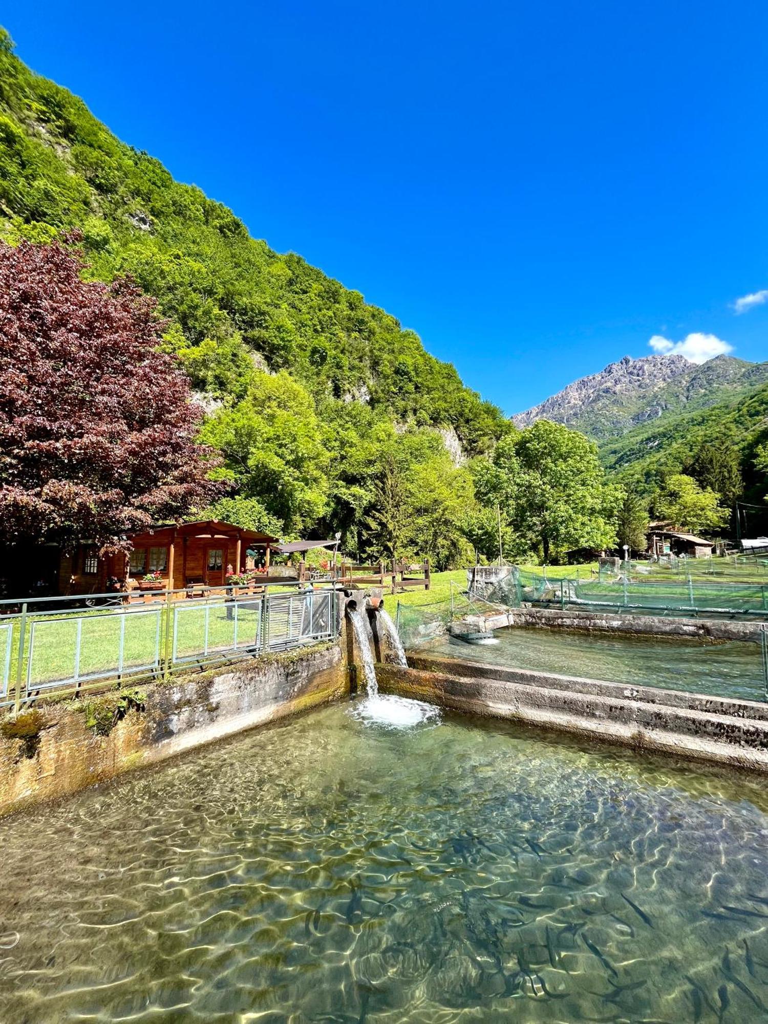 Agriturismo La Vecchia Chioderia Grandola ed Uniti Εξωτερικό φωτογραφία