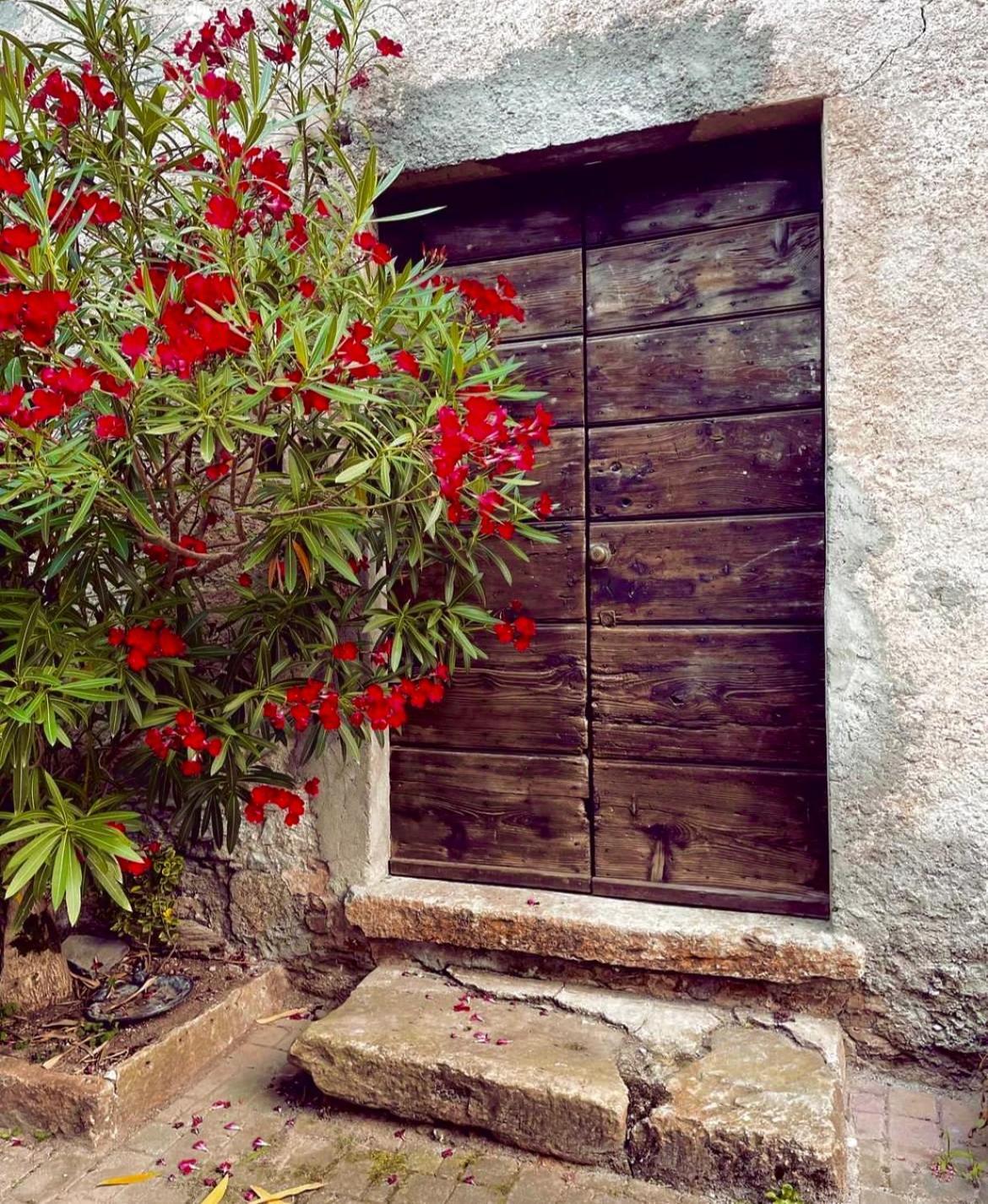 Agriturismo La Vecchia Chioderia Grandola ed Uniti Εξωτερικό φωτογραφία