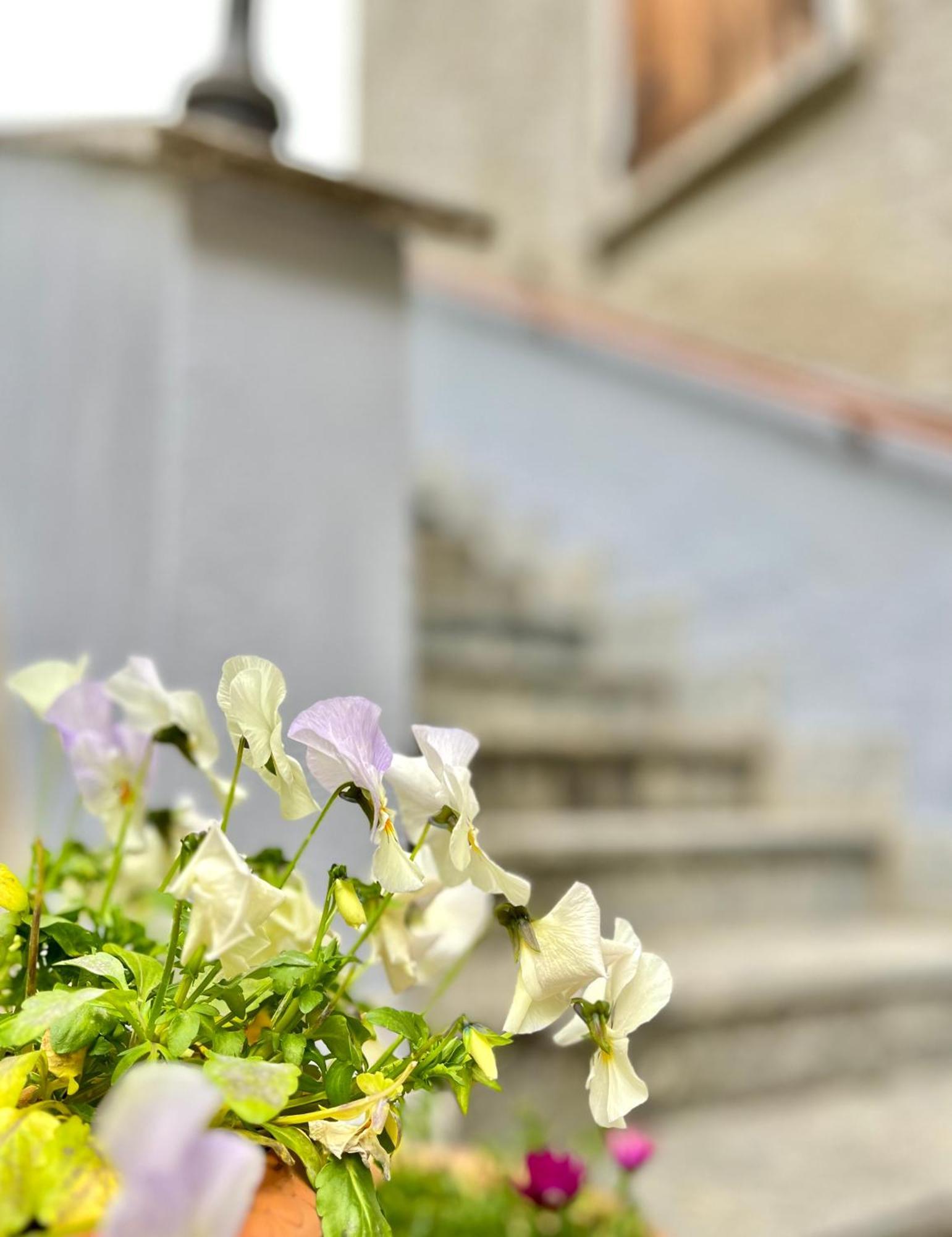 Agriturismo La Vecchia Chioderia Grandola ed Uniti Εξωτερικό φωτογραφία
