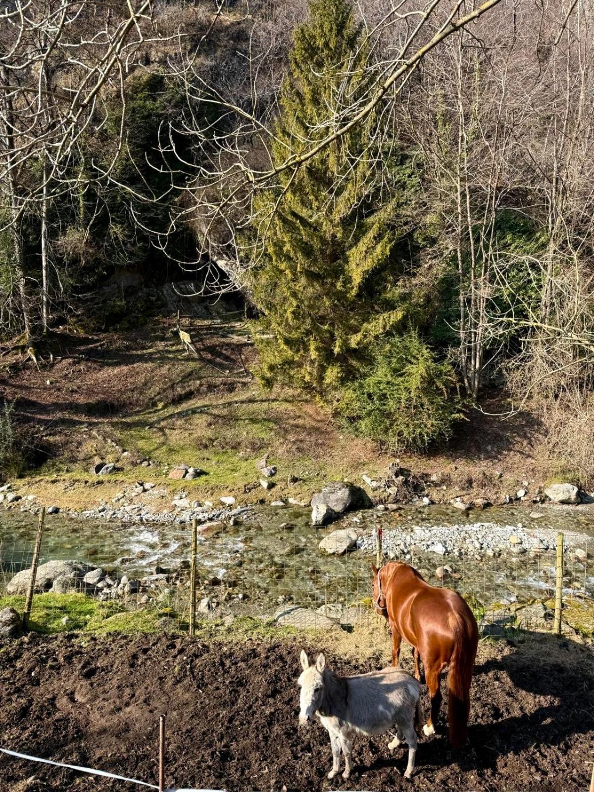 Agriturismo La Vecchia Chioderia Grandola ed Uniti Εξωτερικό φωτογραφία