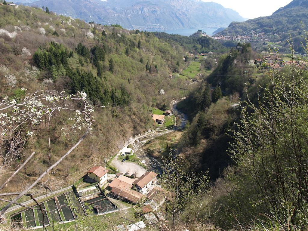 Agriturismo La Vecchia Chioderia Grandola ed Uniti Εξωτερικό φωτογραφία